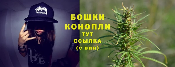 ПСИЛОЦИБИНОВЫЕ ГРИБЫ Зеленодольск