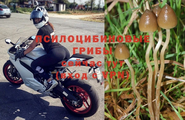 дмт Зерноград