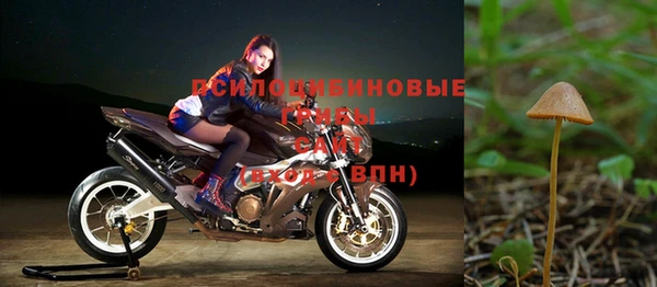 дмт Зерноград