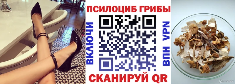 магазин  наркотиков  Дербент  Галлюциногенные грибы мицелий 